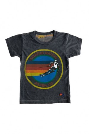 Camiseta Aviator Nation Aspen Niños Grey | 93IECGBQN