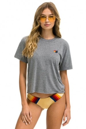 Camiseta Aviator Nation Basic Boyfriend Mujer Grey | 24RCHNDIG