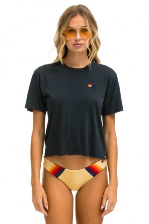 Camiseta Aviator Nation Basic Boyfriend Mujer Grey | 24SFODNUC