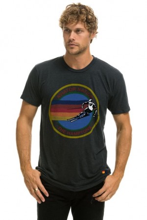 Camiseta Aviator Nation Hamptons Crew Hombre Grey | 72NBOTJEX