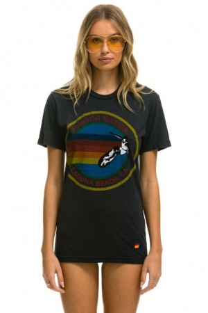 Camiseta Aviator Nation Laguna Beach Hombre Grey | 73EOIWAPT