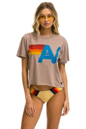Camiseta Aviator Nation Logo Boyfriend Mujer Dusty | 23VGDKEOW