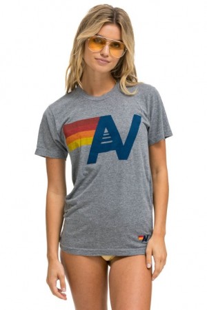 Camiseta Aviator Nation Logo Hombre Grey | 72JXDZCEU