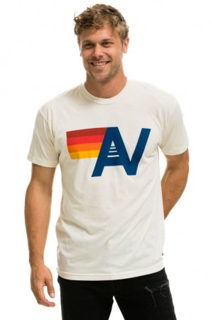Camiseta Aviator Nation Logo Hombre White | 72JPYEKVI