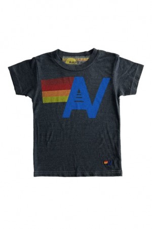 Camiseta Aviator Nation Logo Niños Grey | 91ARZIUEO