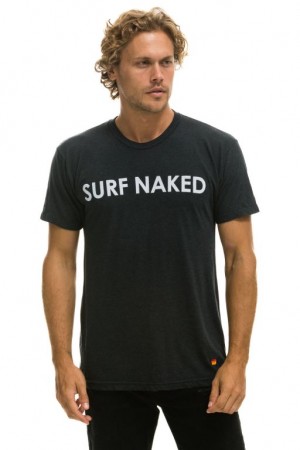 Camiseta Aviator Nation Surf Naked Hombre Grey | 71XVOHYLK