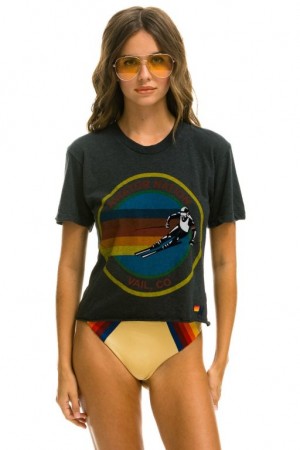 Camiseta Aviator Nation Vail Boyfriend Mujer Grey | 24VRZCXQA