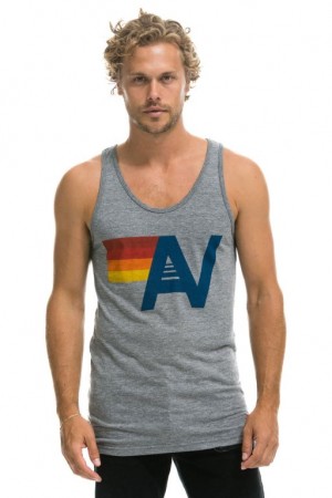 Camiseta sin Manga Aviator Nation Logo Hombre Grey | 73NCQFKOY