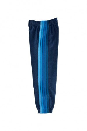 Pantalones Deportivos Aviator Nation 5 Stripe Niños Navy / Blue | 94NKYDVGS