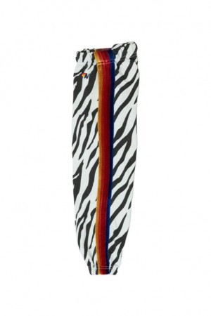 Pantalones Deportivos Aviator Nation Classic Niños Zebra | 94DYERWCK
