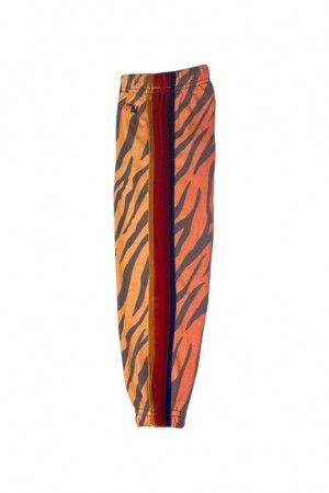 Pantalones Deportivos Aviator Nation Classic Niños Tiger | 94ENHATWY
