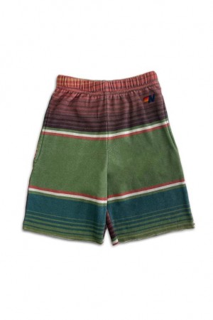 Short Aviator Nation Tulum Sweat Niños Green | 95AUBCNKP
