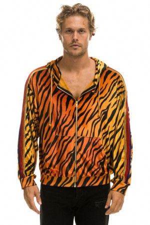Sudadera con Capucha Aviator Nation Classic Velvet Relaxed Zip Hombre Tiger | 60AWOJBCN