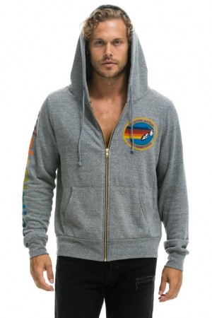 Sudadera con Capucha Aviator Nation Hamptons Hombre Grey | 61MPYCDTW
