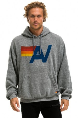 Sudadera con Capucha Aviator Nation Logo Pullover Relaxed Hombre Grey | 63PLXGNEZ