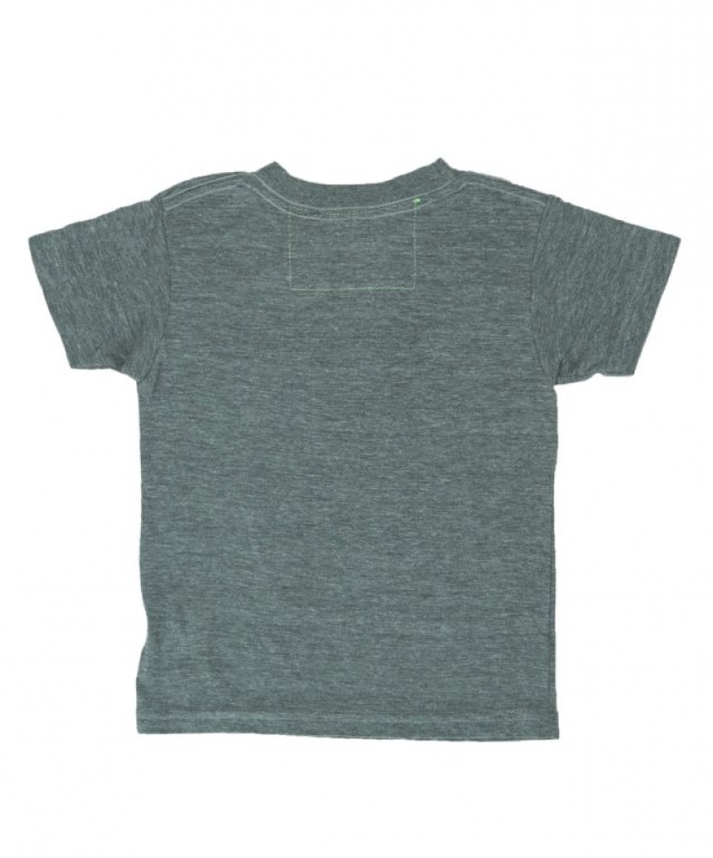 Camiseta Aviator Nation Bolt Niños Grey | 93RNGZHPU
