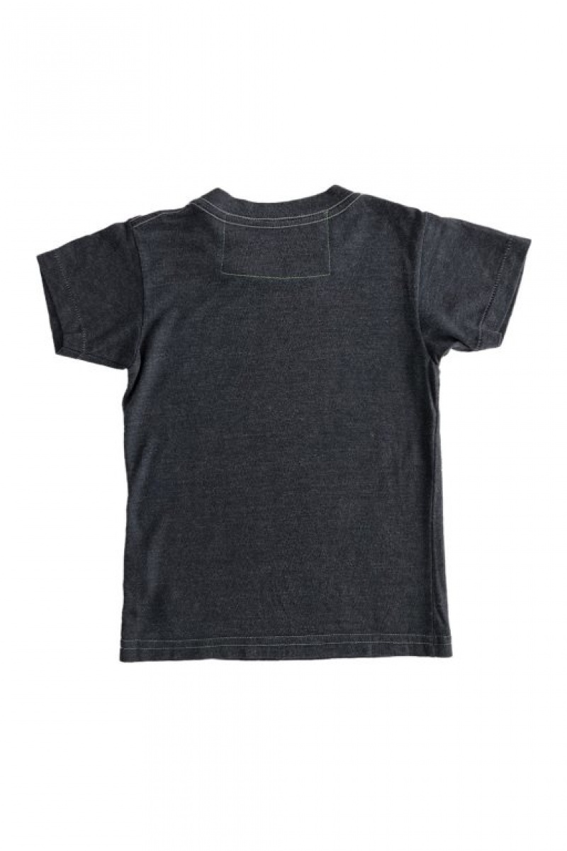 Camiseta Aviator Nation La Jolla Niños Grey | 92VQBLDSW