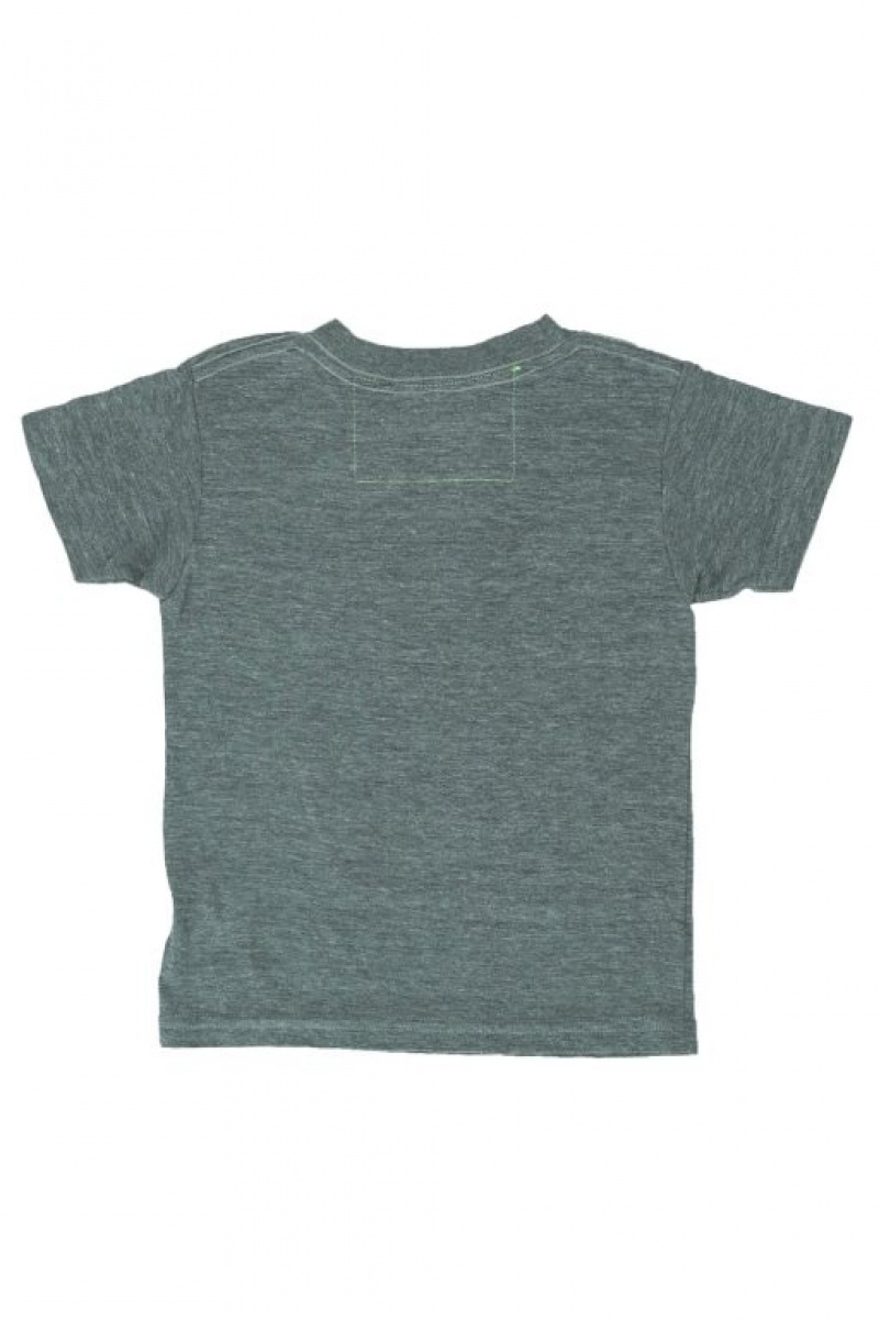 Camiseta Aviator Nation Laguna Beach Niños Grey | 92UBJASFX