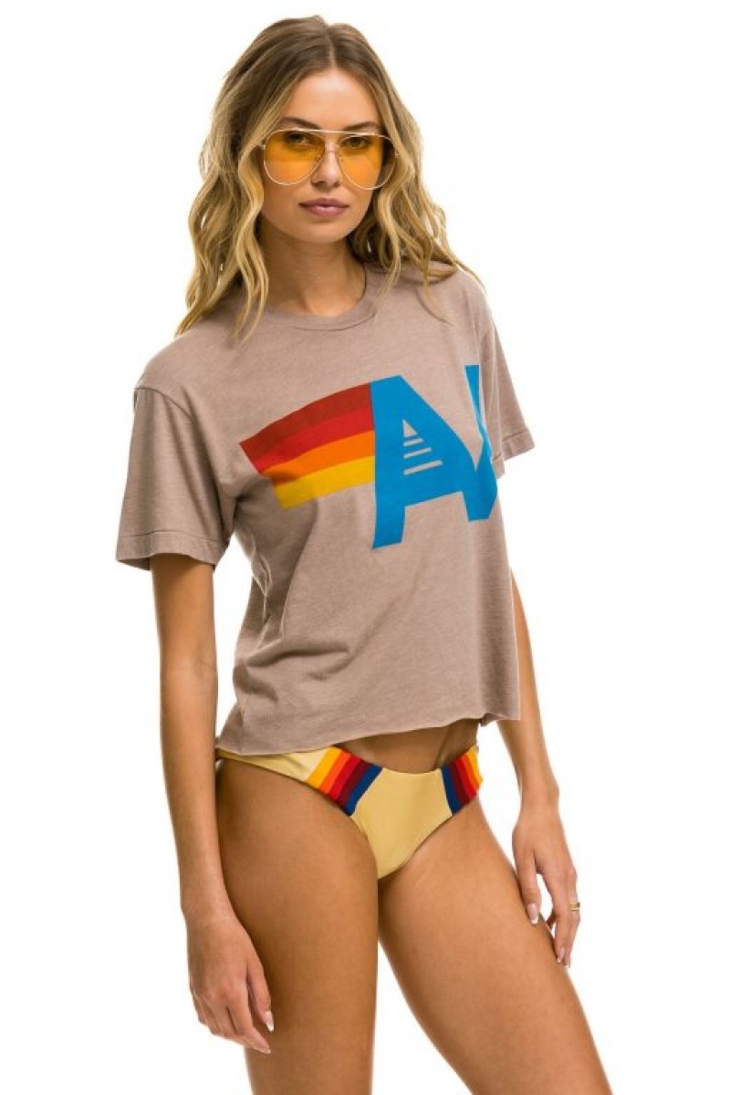 Camiseta Aviator Nation Logo Boyfriend Mujer Dusty | 23VGDKEOW