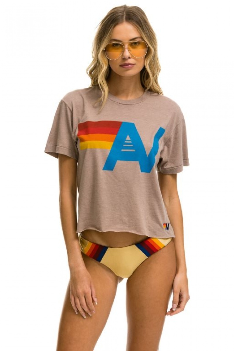 Camiseta Aviator Nation Logo Boyfriend Mujer Dusty | 23VGDKEOW