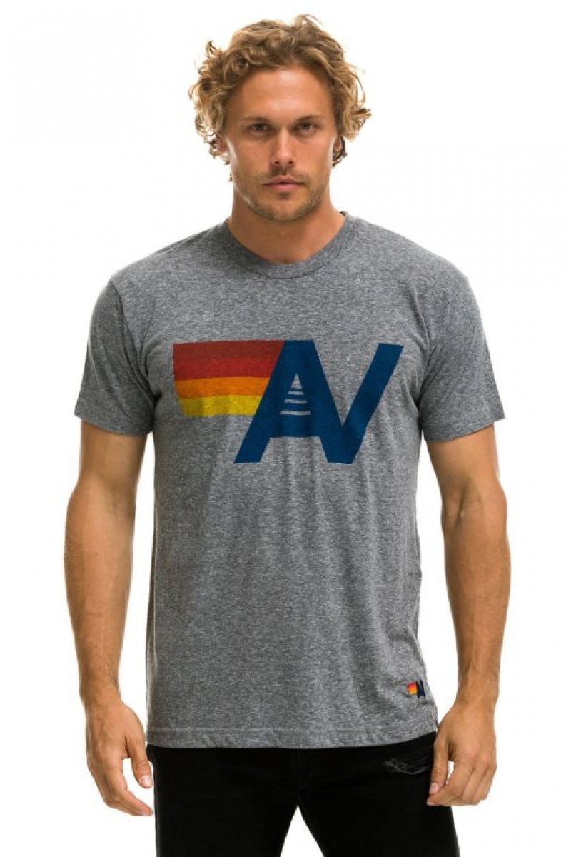 Camiseta Aviator Nation Logo Hombre Grey | 72JXDZCEU