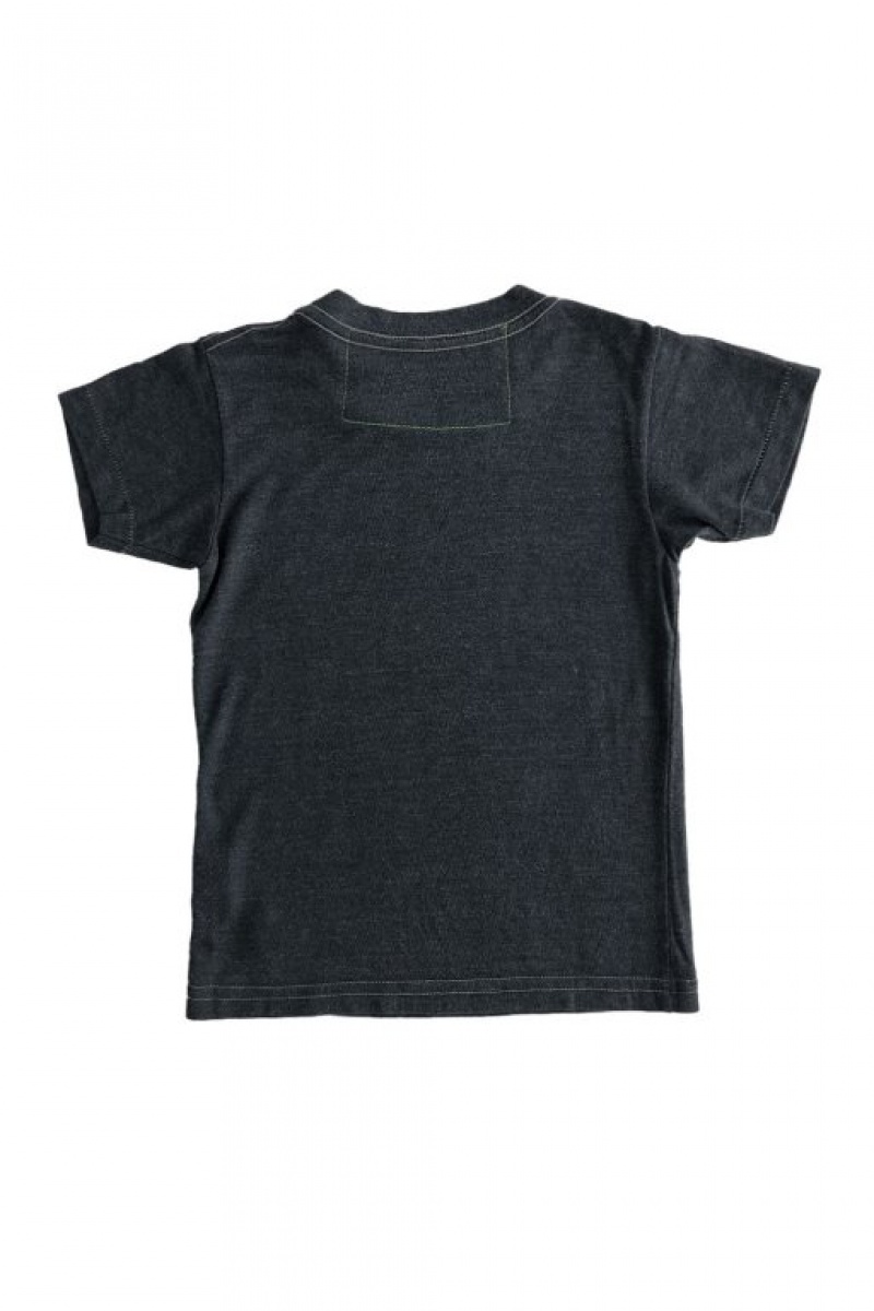 Camiseta Aviator Nation Logo Niños Grey | 91ARZIUEO
