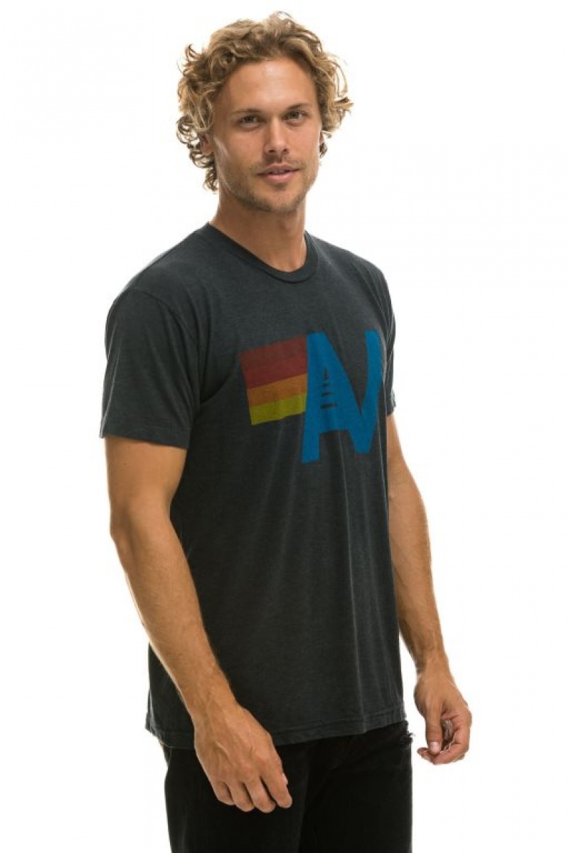 Camiseta Aviator Nation Logo - Charcoal Mujer Grey | 29EOKBWDG