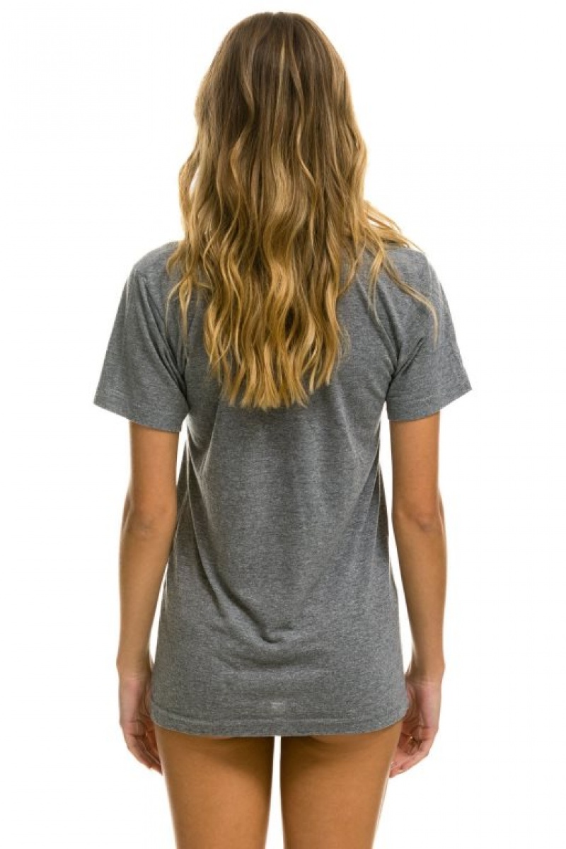 Camiseta Aviator Nation Signature Aspen Hombre Grey | 72DYAWNEP