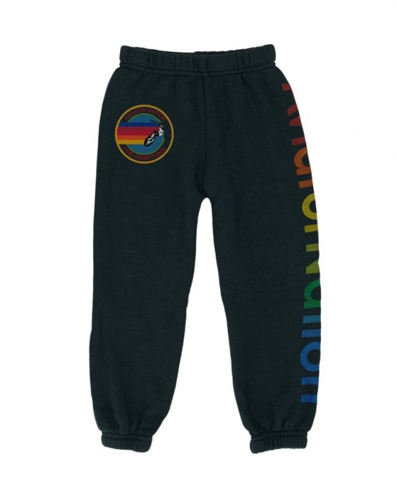 Pantalones Deportivos Aviator Nation Hampton Niños Grey | 94LDHBMWA