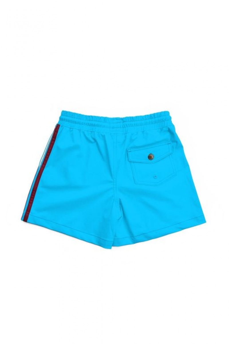 Short Aviator Nation Flex Board Niños Blue | 96CNSQWYB