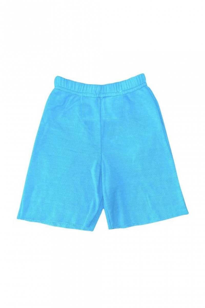 Short Aviator Nation Miami Sweat Niños Blue | 95SEFZBTI