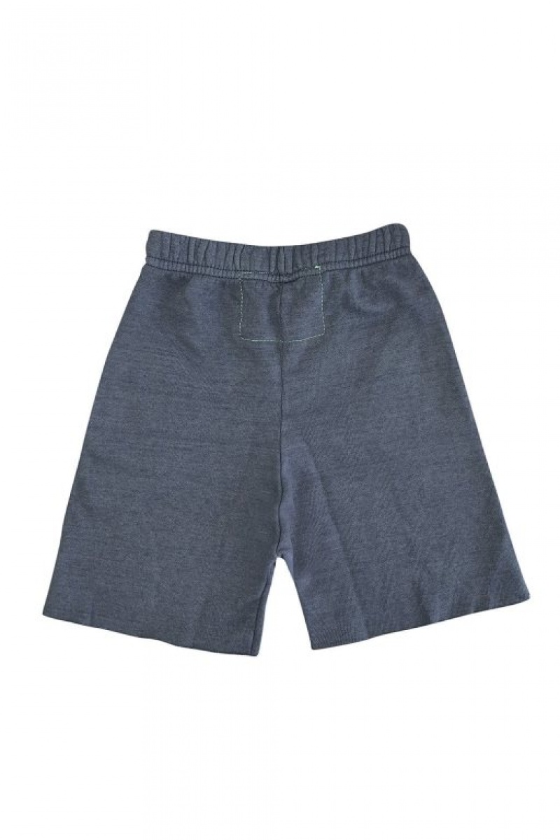 Short Aviator Nation North Shore Sweat Niños Grey | 95JFQASIW