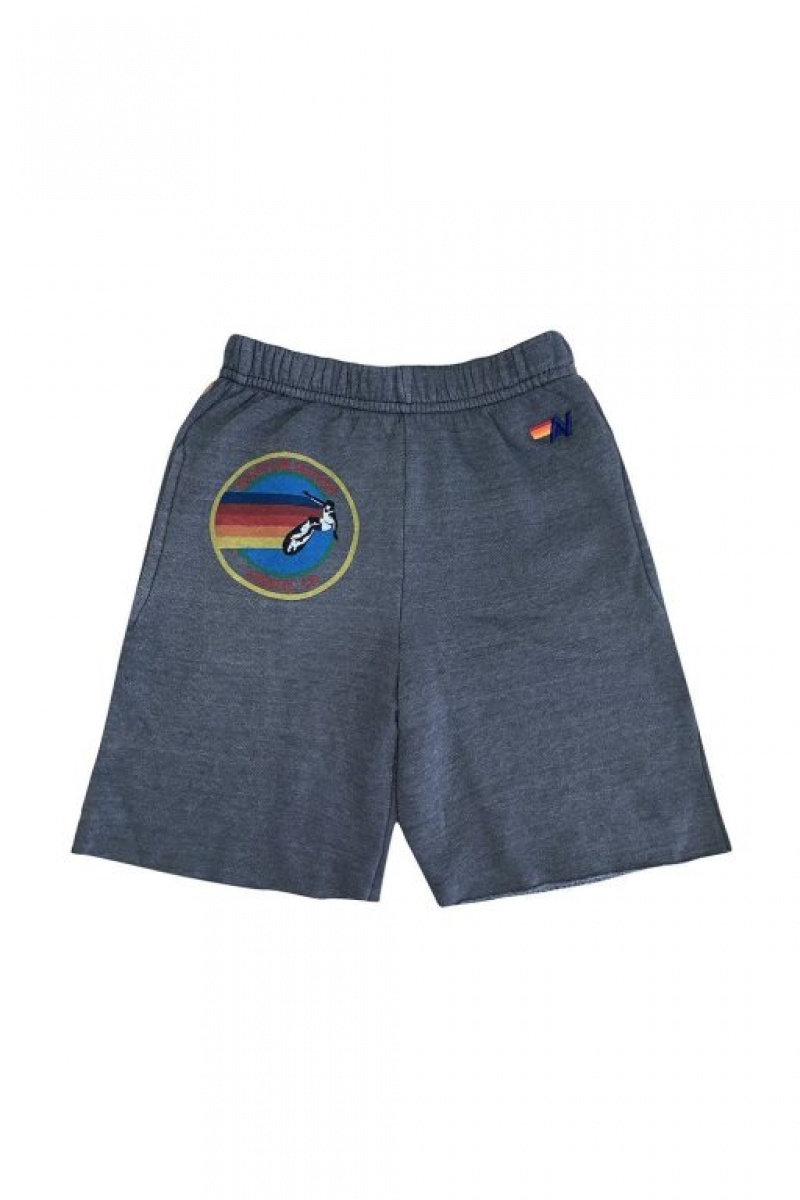 Short Aviator Nation North Shore Sweat Niños Grey | 95JFQASIW