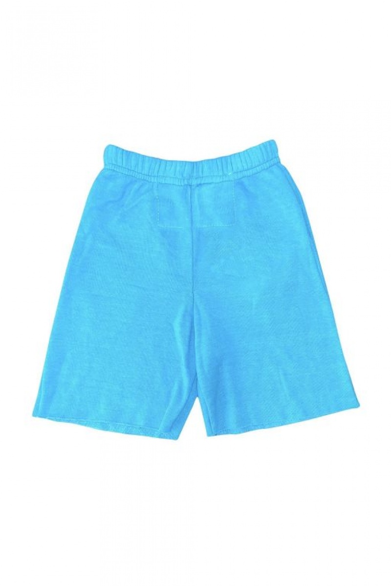 Short Aviator Nation San Francisco Sweat Niños Blue | 95ICKYRLJ