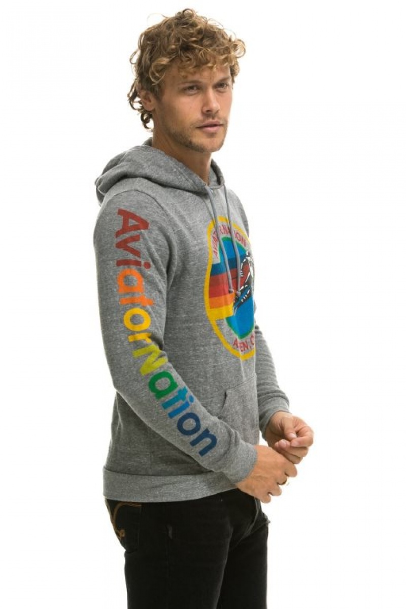 Sudadera con Capucha Aviator Nation Aspen Pullover Hombre Grey | 64OYDHMST
