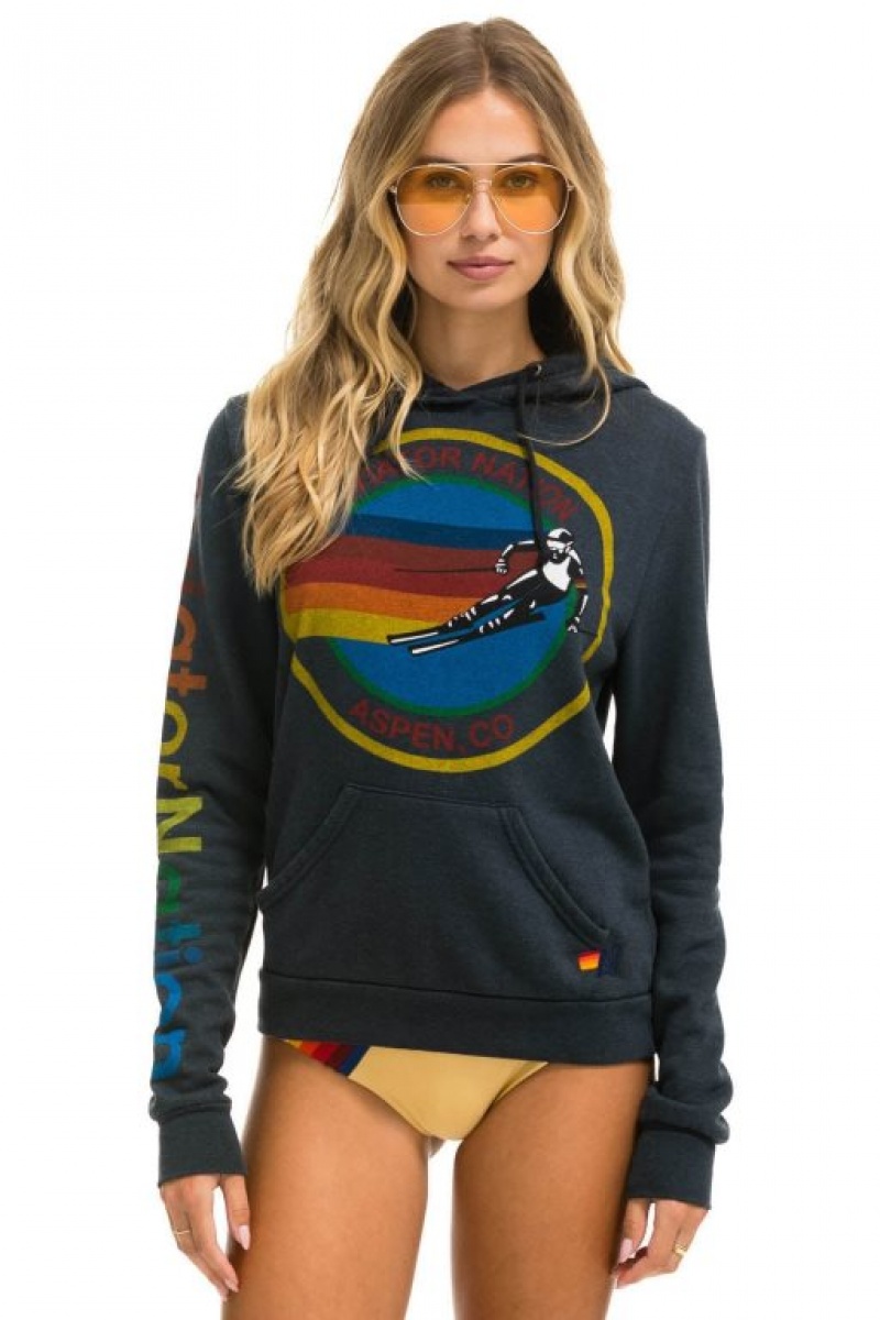 Sudadera con Capucha Aviator Nation Aspen Pullover Hombre Grey | 64OZJFPIX