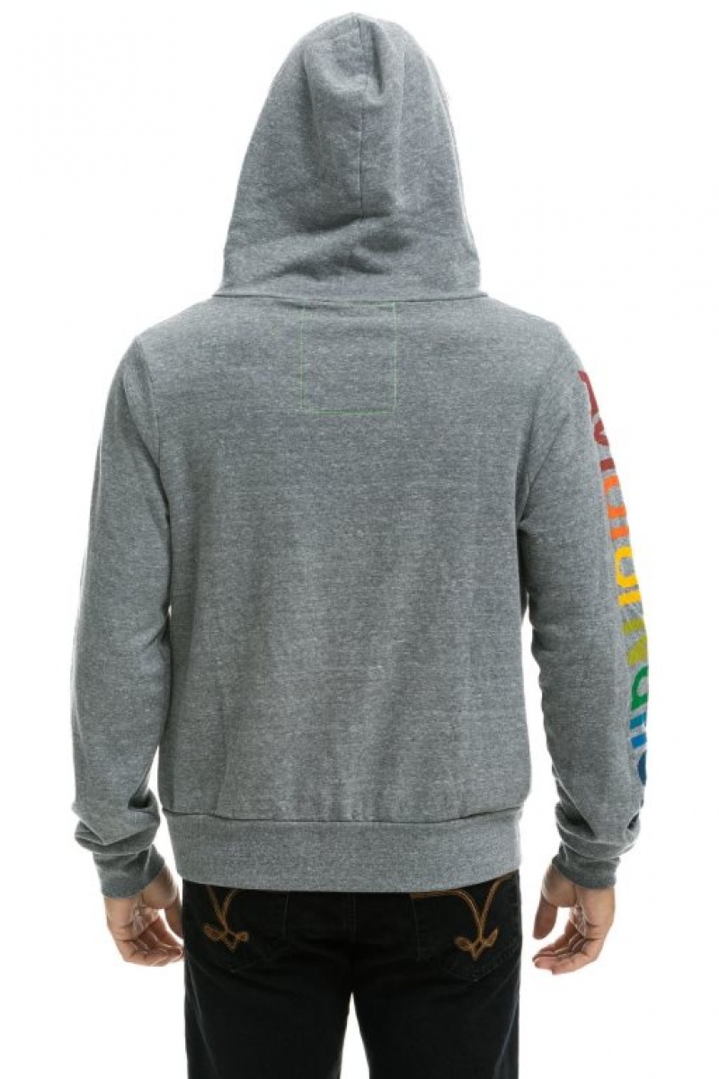 Sudadera con Capucha Aviator Nation Hamptons Hombre Grey | 61MPYCDTW