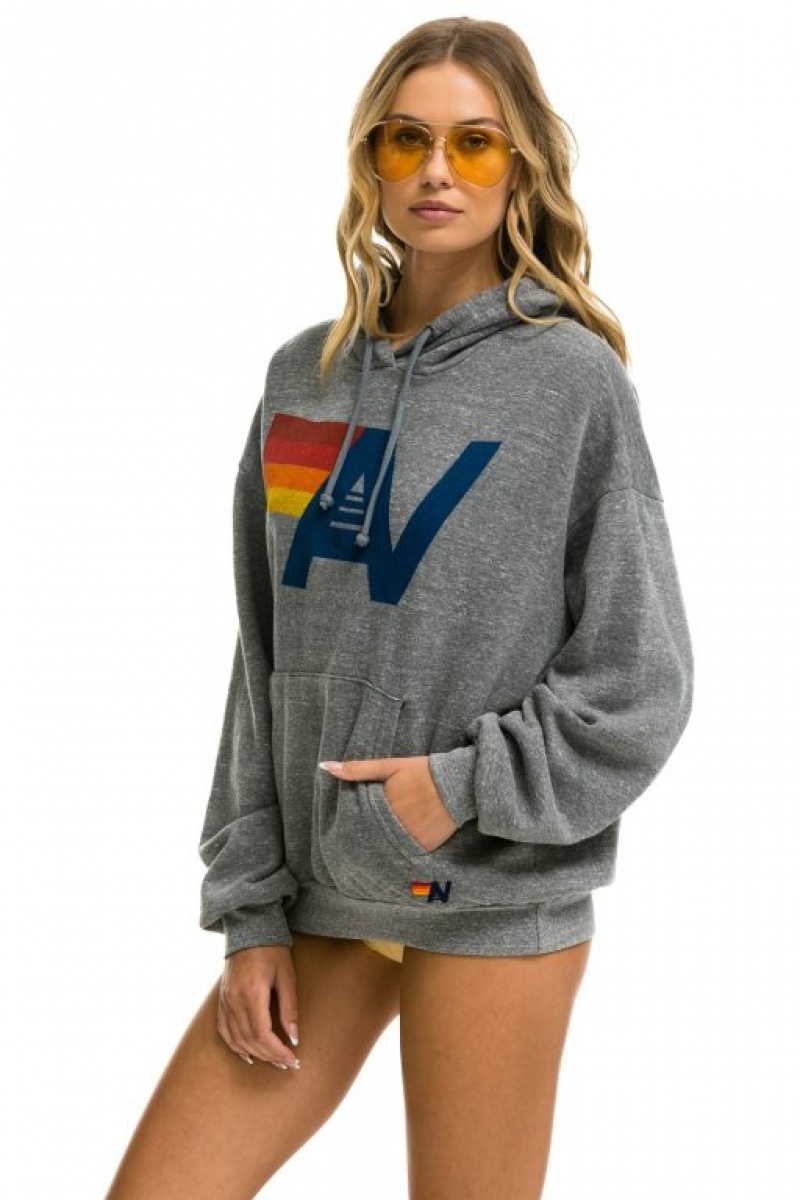 Sudadera con Capucha Aviator Nation Logo Pullover Relaxed Hombre Grey | 63PLXGNEZ