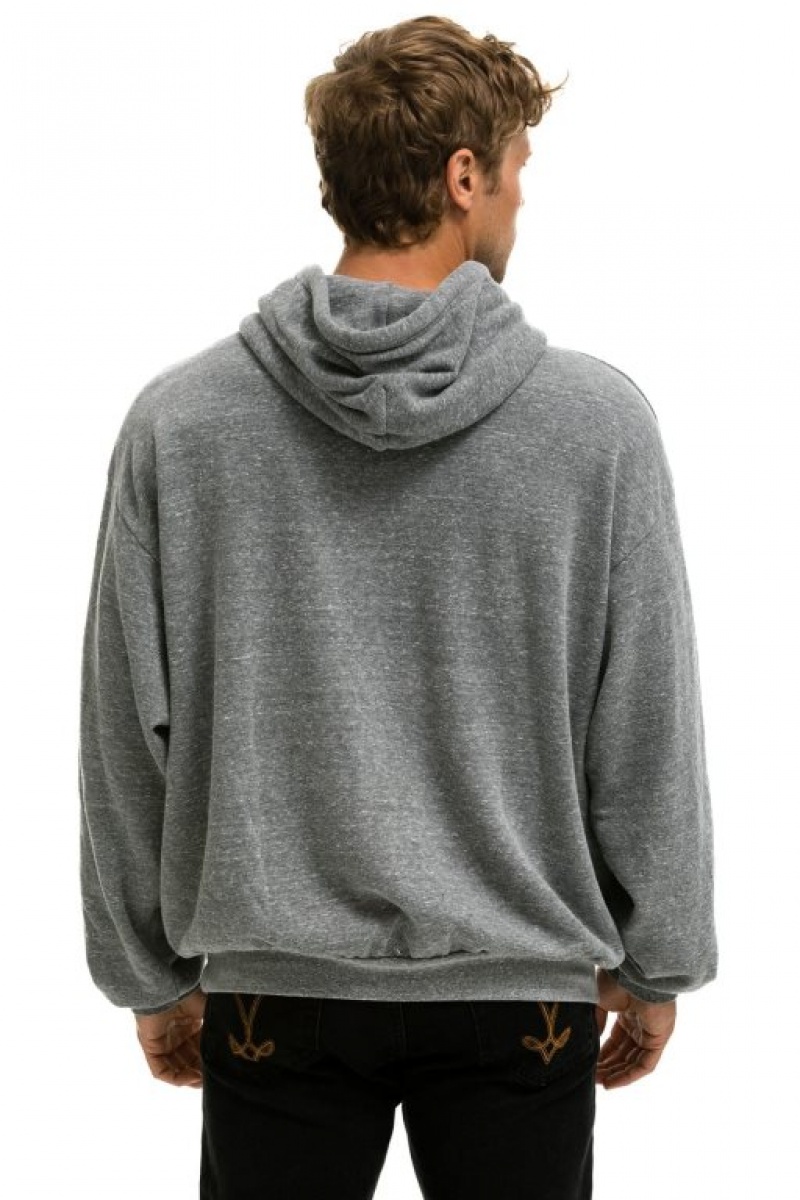 Sudadera con Capucha Aviator Nation Logo Pullover Relaxed Hombre Grey | 63PLXGNEZ
