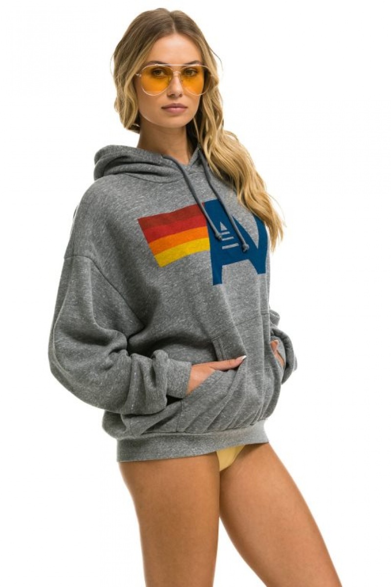 Sudadera con Capucha Aviator Nation Logo Pullover Relaxed Hombre Grey | 63PLXGNEZ