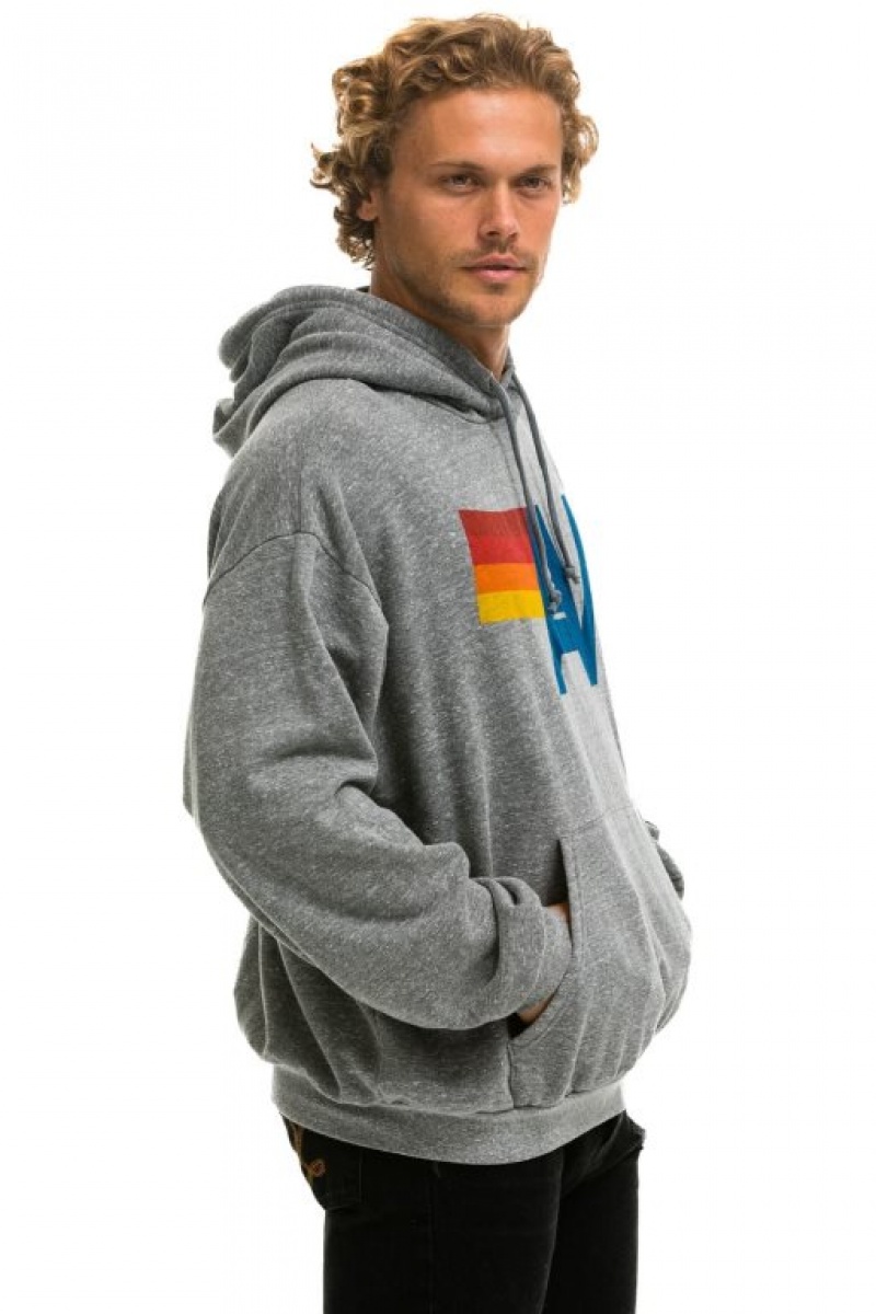 Sudadera con Capucha Aviator Nation Logo Pullover Relaxed Hombre Grey | 63PLXGNEZ