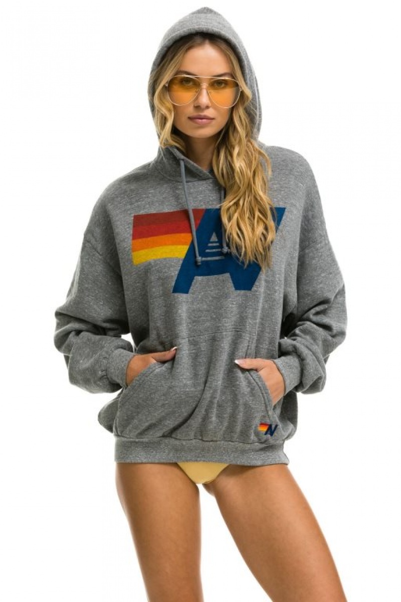 Sudadera con Capucha Aviator Nation Logo Pullover Relaxed Hombre Grey | 63PLXGNEZ