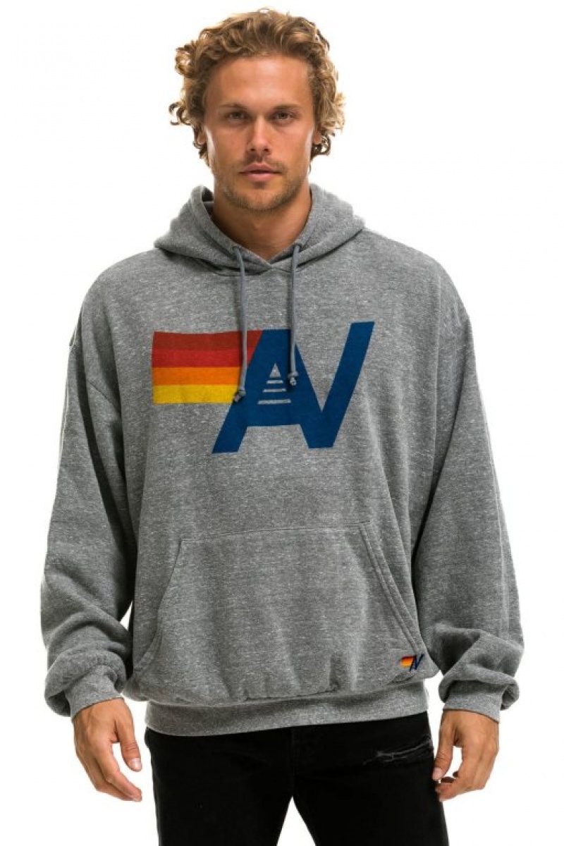 Sudadera con Capucha Aviator Nation Logo Pullover Relaxed Hombre Grey | 63PLXGNEZ