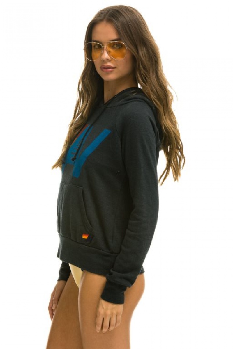 Sudadera con Capucha Aviator Nation Logo Pullover Hombre Grey | 63PNHJGZI