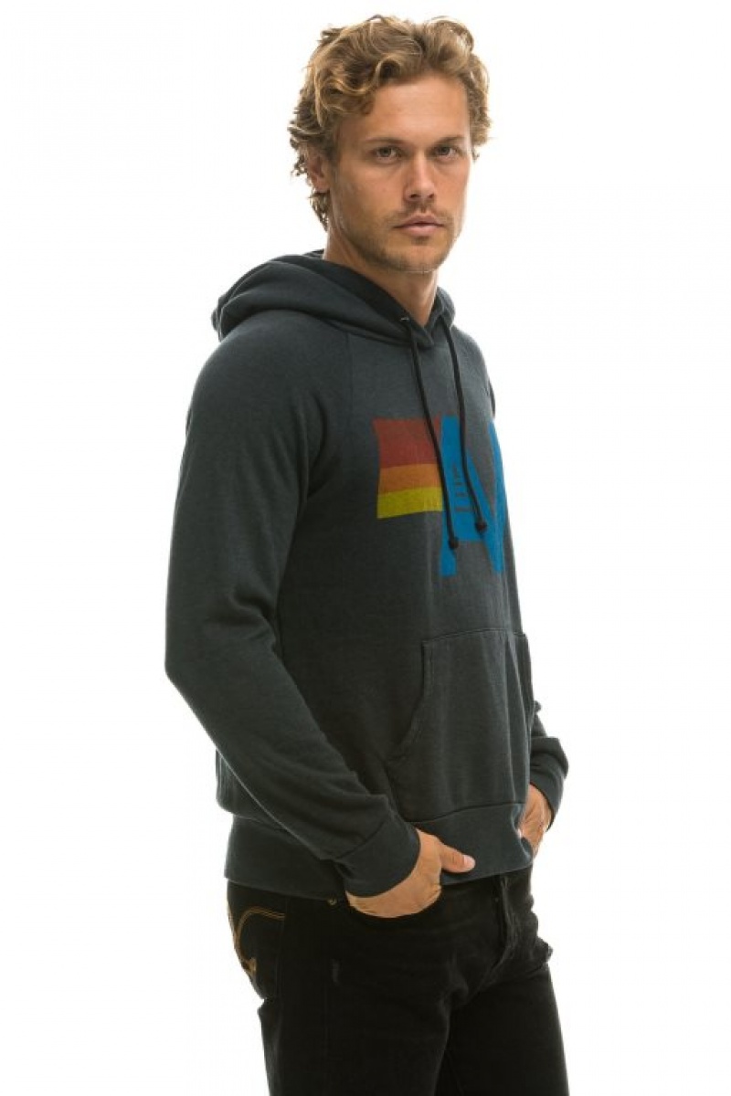 Sudadera con Capucha Aviator Nation Logo Pullover Hombre Grey | 63PNHJGZI