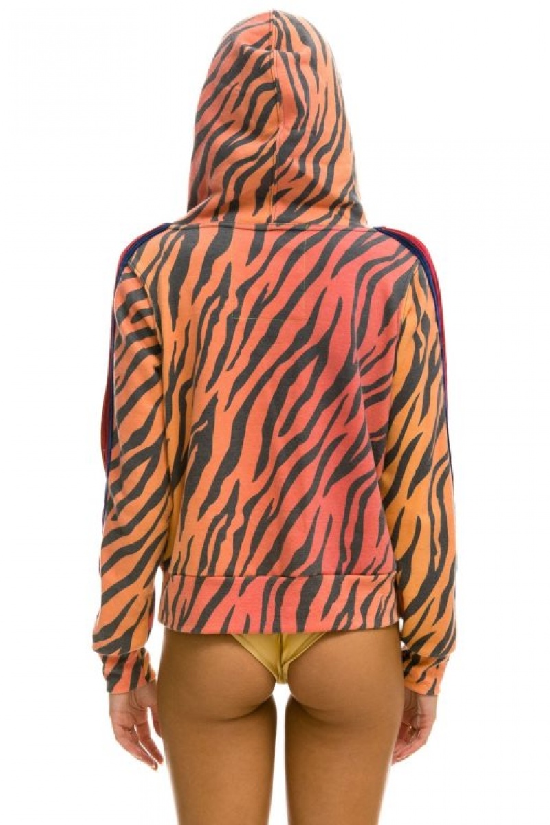 Sudadera con Capucha Aviator Nation Ninja Pullover Hombre Tiger | 63ERMYGOI