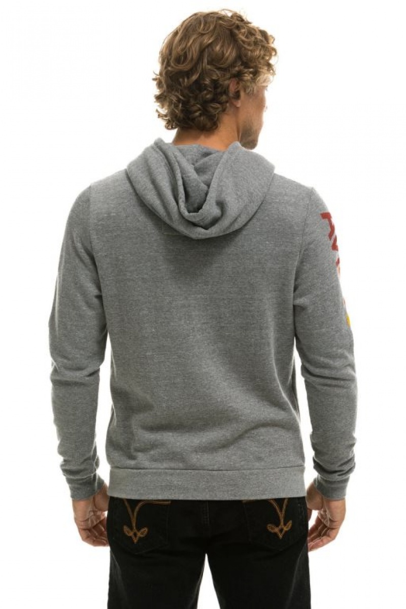 Sudadera con Capucha Aviator Nation Texas Pullover Hombre Grey | 64BCPSQYV
